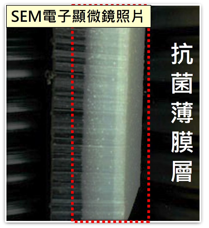 SEM電子顯微鏡照片